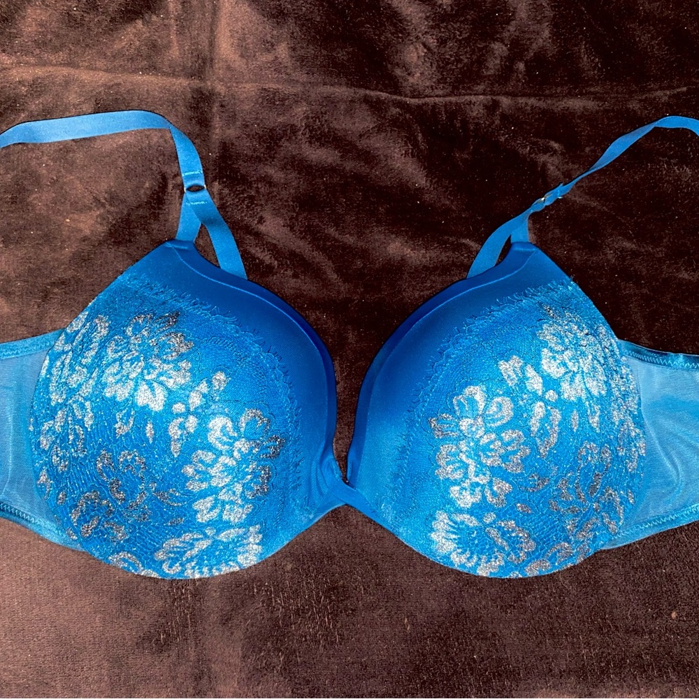 Warner’s Bra
